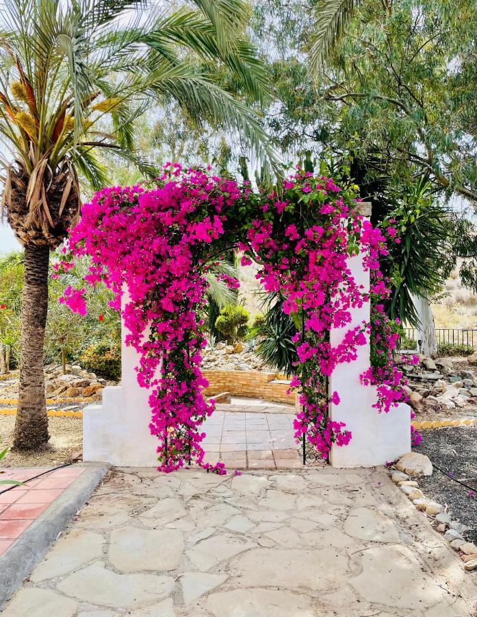 Mojacar Farmhouse Apartments With Pool Los Gallardos Esterno foto